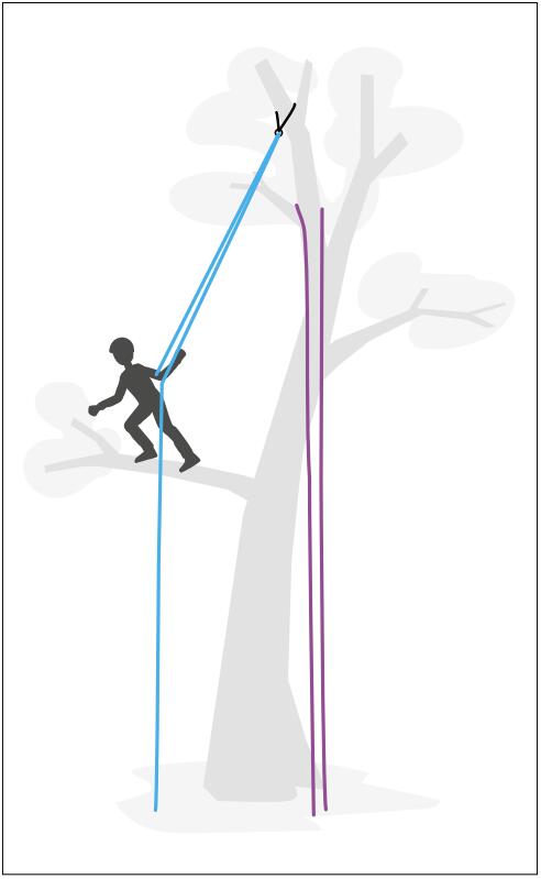 樹(shù)上作業(yè)安全繩索