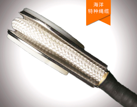 海底錨系系統(tǒng)