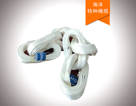 莫比烏斯環結構超高分子量聚乙烯纖維鏈帶